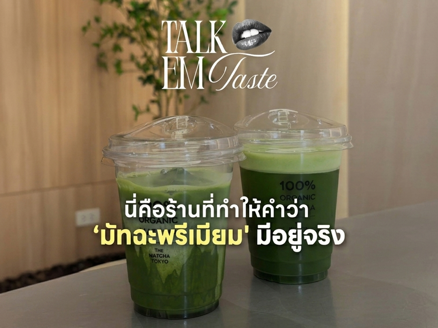 รวมร้านมัทฉะพรีเมียมที่ EM District Talk EM Taste EP.2